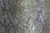 Kenton Bank Foot fibreglass roof work